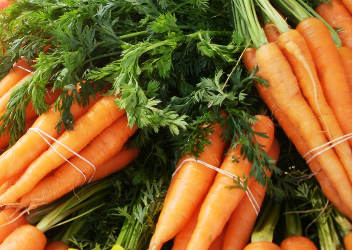Bundles of carrots